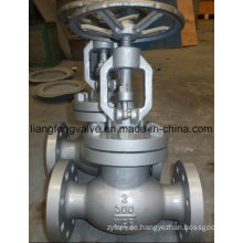 Carbon Steel Flansch End Globe Valve 300lb